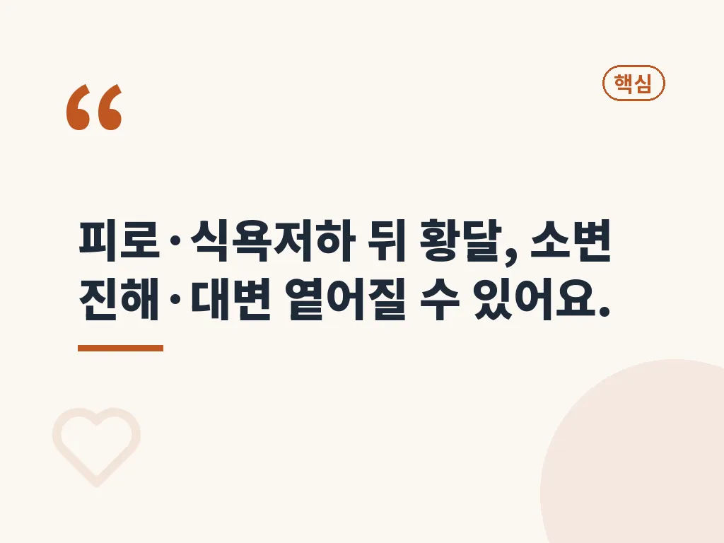 급성간염과 다른 간염의 차이 이미지