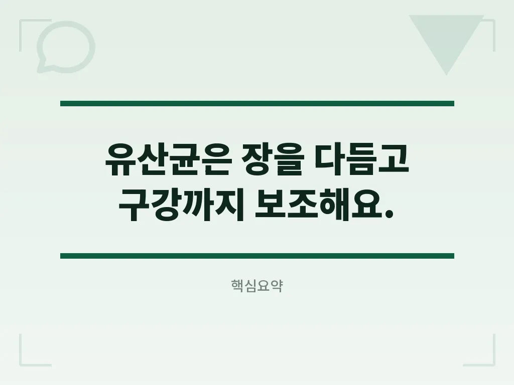 비만 유산균의 핵심 성분과 부원료 이미지