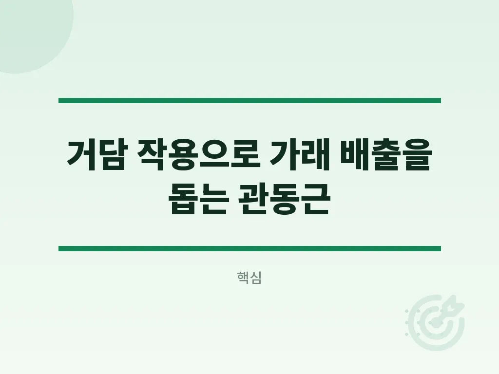 머위뿌리즙 마시는 단계와 적응 방법 이미지