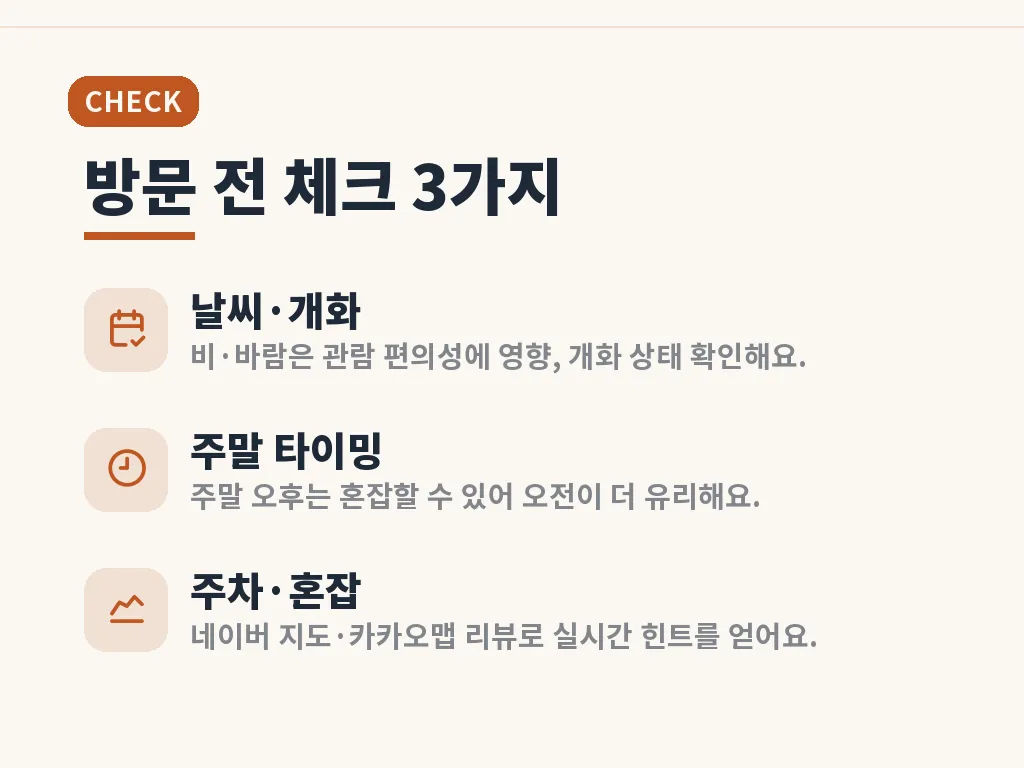 수국 절정 시기와 관람 타이밍 이미지