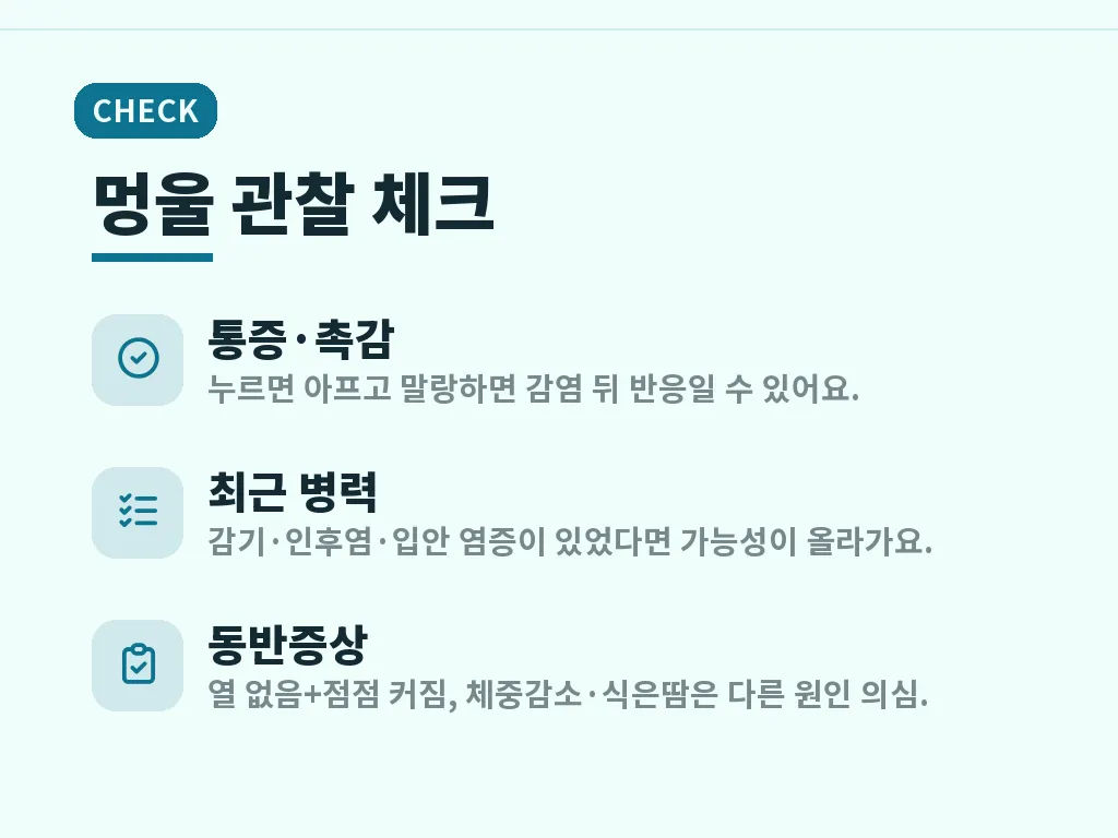 목 림프절이 붓는 원인 분류 이미지