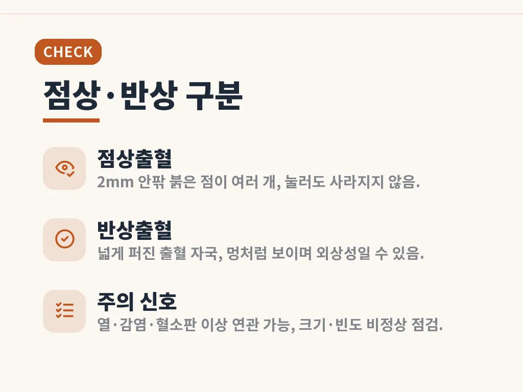 멍 울이 잘 생기는 아이와 성인의 차이 이미지