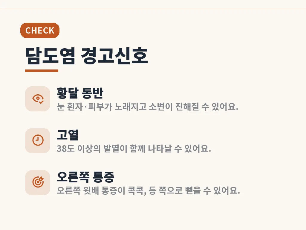 담도염 진단 과정과 검사에서 보는 포인트 이미지