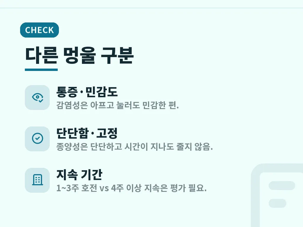 사타구니 림프절이 의심될 때 진행 순서 이미지