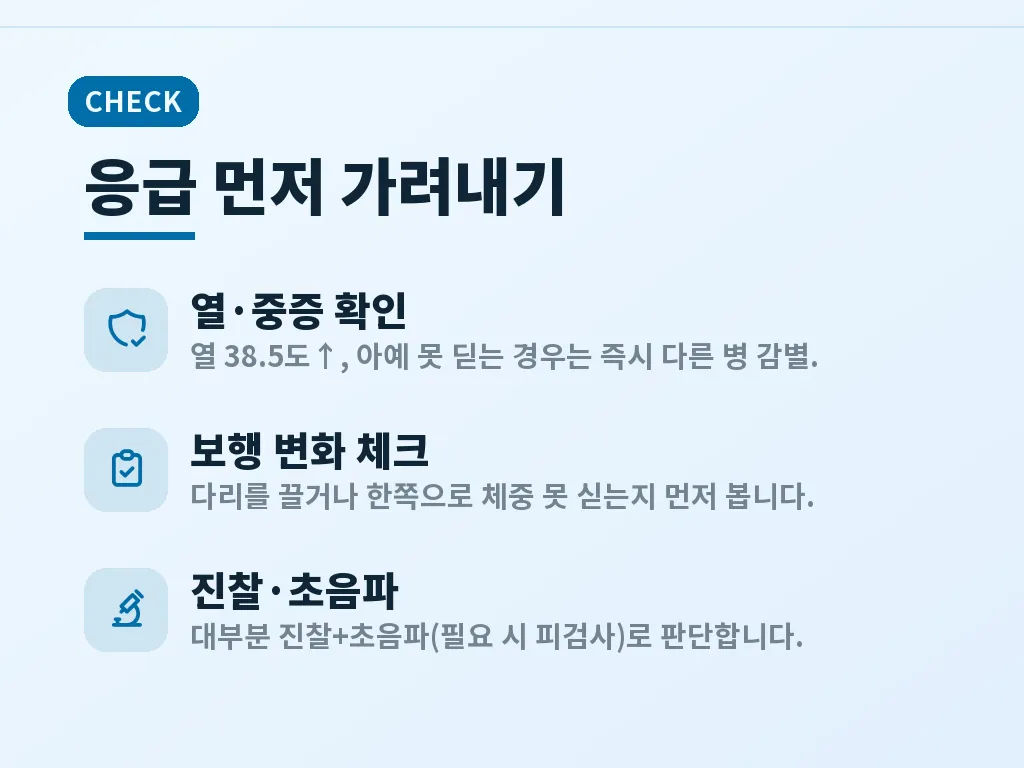 진단은 어떻게 진행되는지 이미지