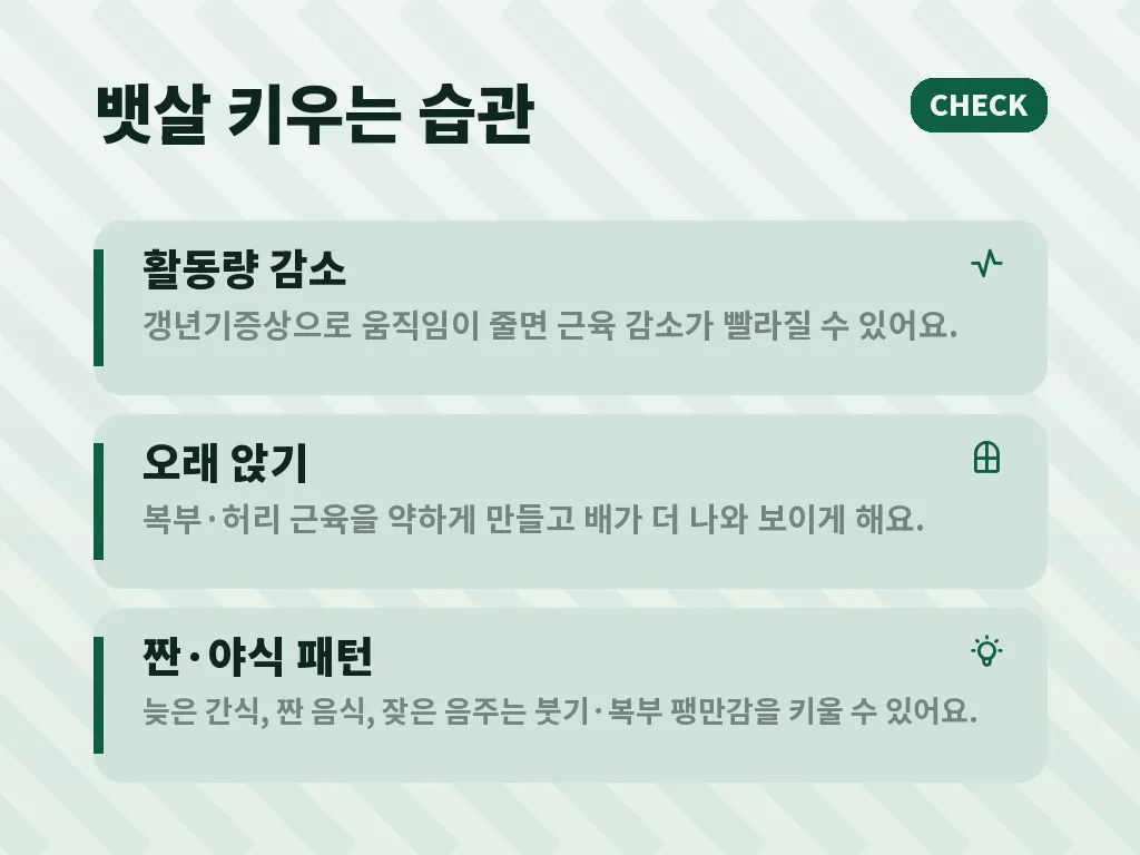갱년기 뱃살을 줄이는 식사 조절의 핵심 이미지