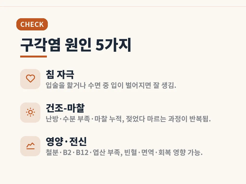 구각염 관리 단계 이미지