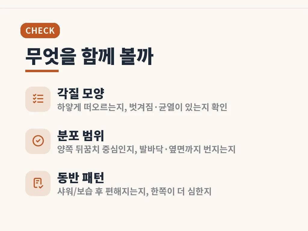 유형별로 나누어 보는 뒤꿈치 문제 이미지