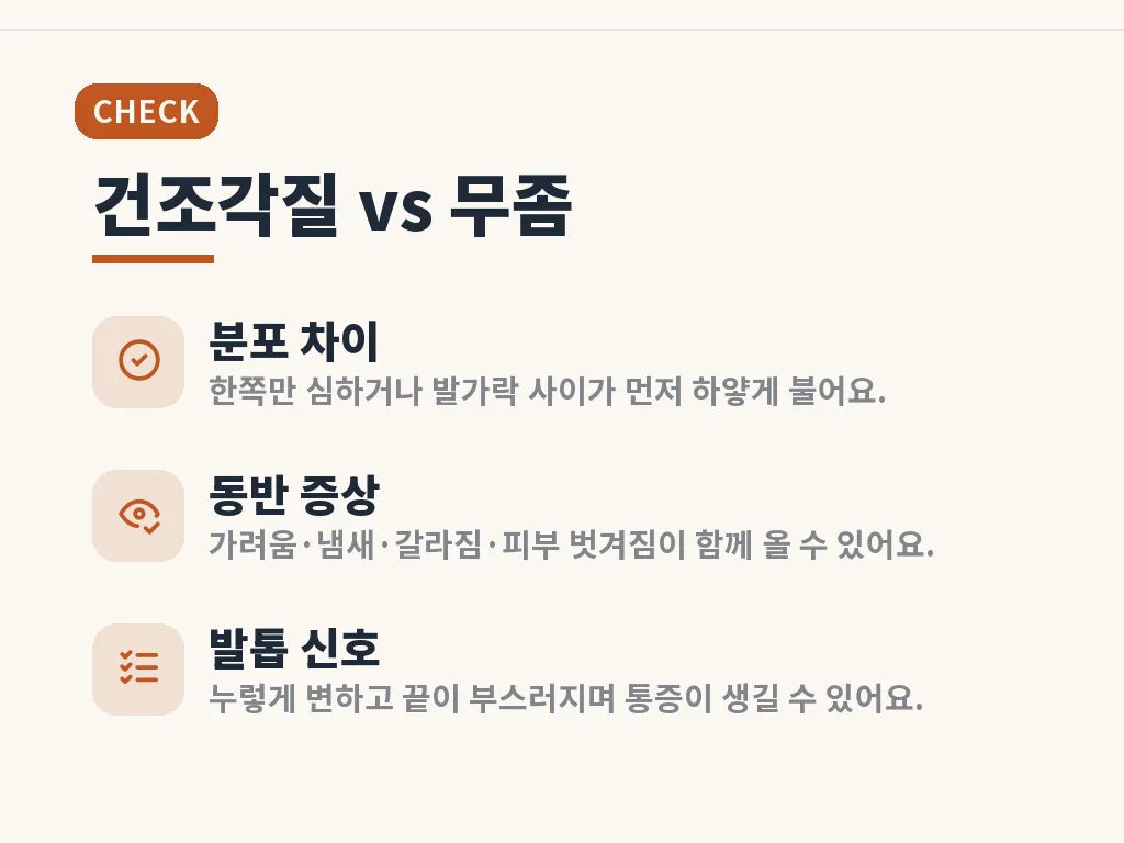 무좀약과 발톱무좀약은 어떻게 다를까 이미지