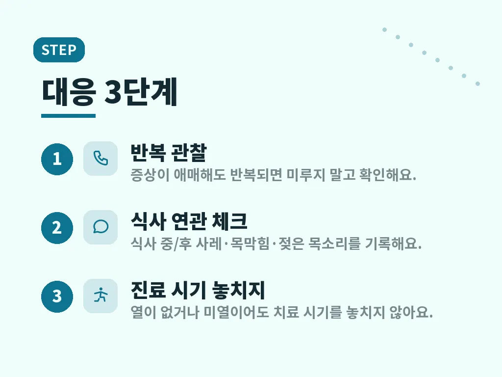 흡인성 폐렴 진단과 치료 흐름 이미지