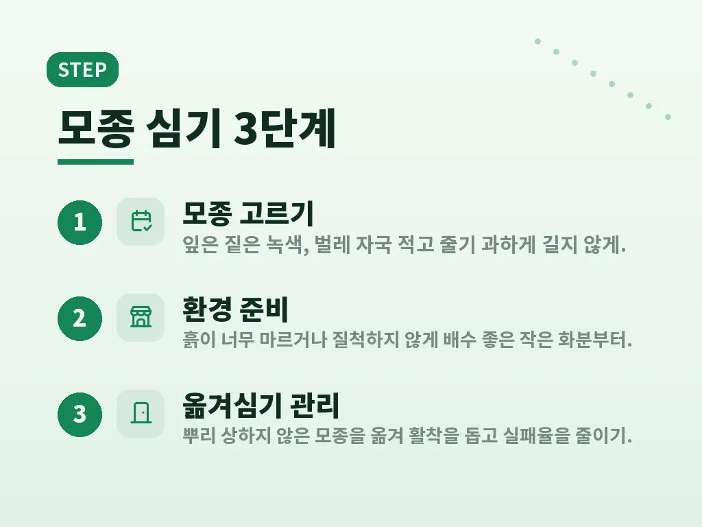 루꼴라 효능 제대로 먹는 방법 이미지