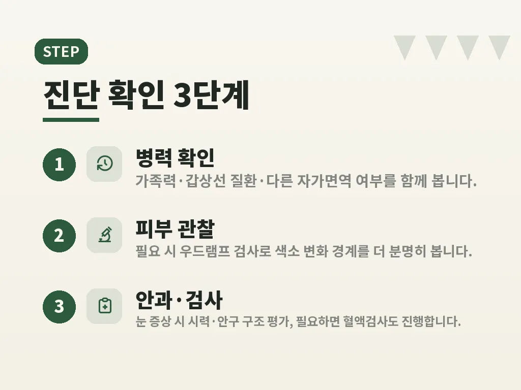 유형별 관리 포인트 이미지