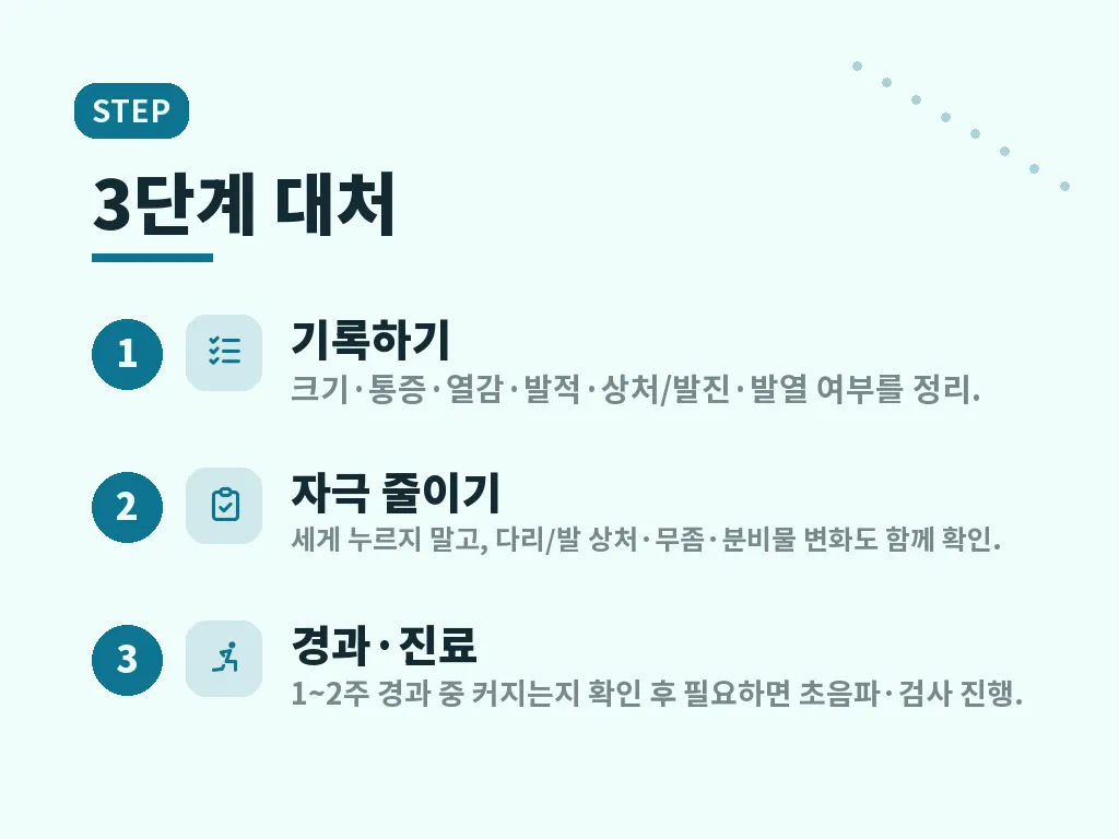 사타구니 림프절 관리에 도움이 되는 방법 이미지