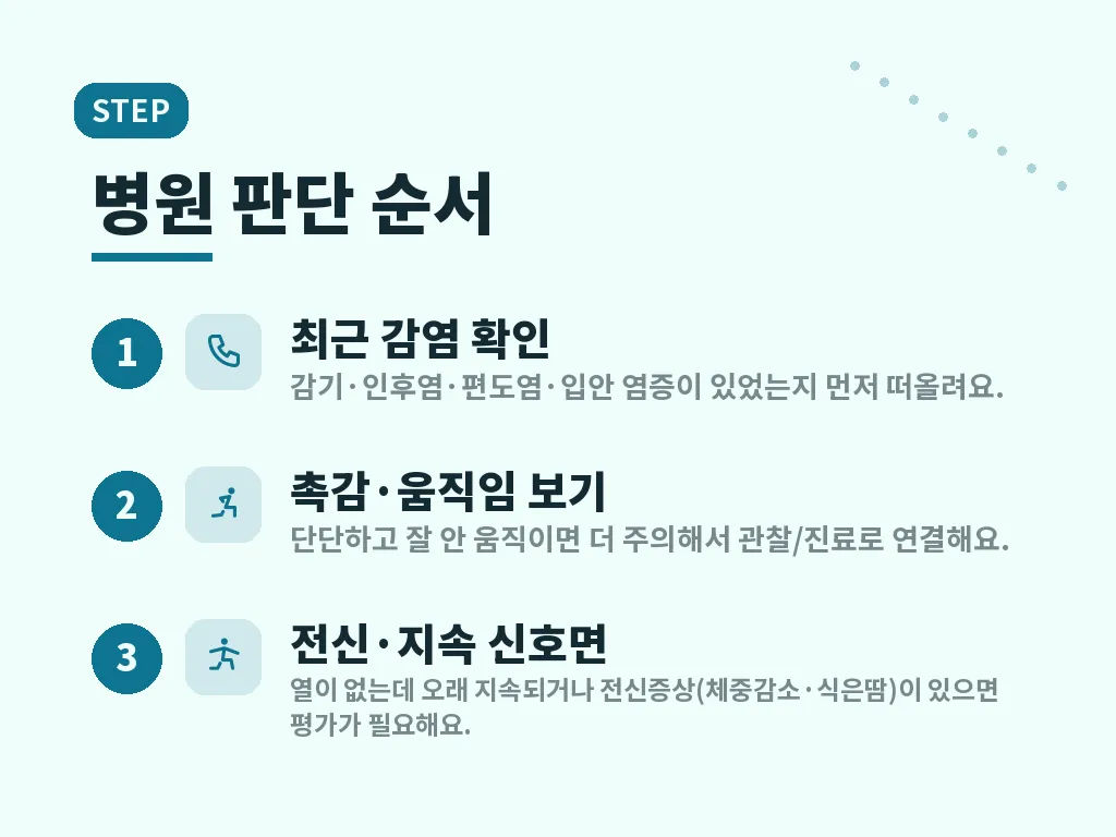 집에서 할 수 있는 관찰과 대처 이미지