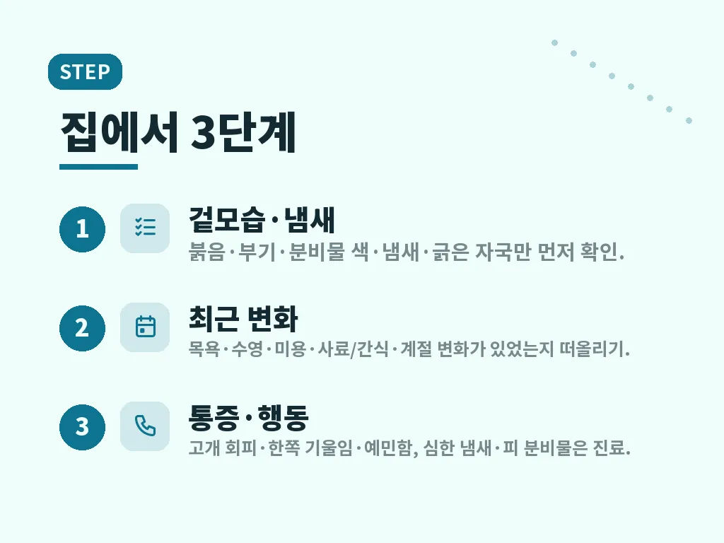 귀염증 단계별 대응 이미지