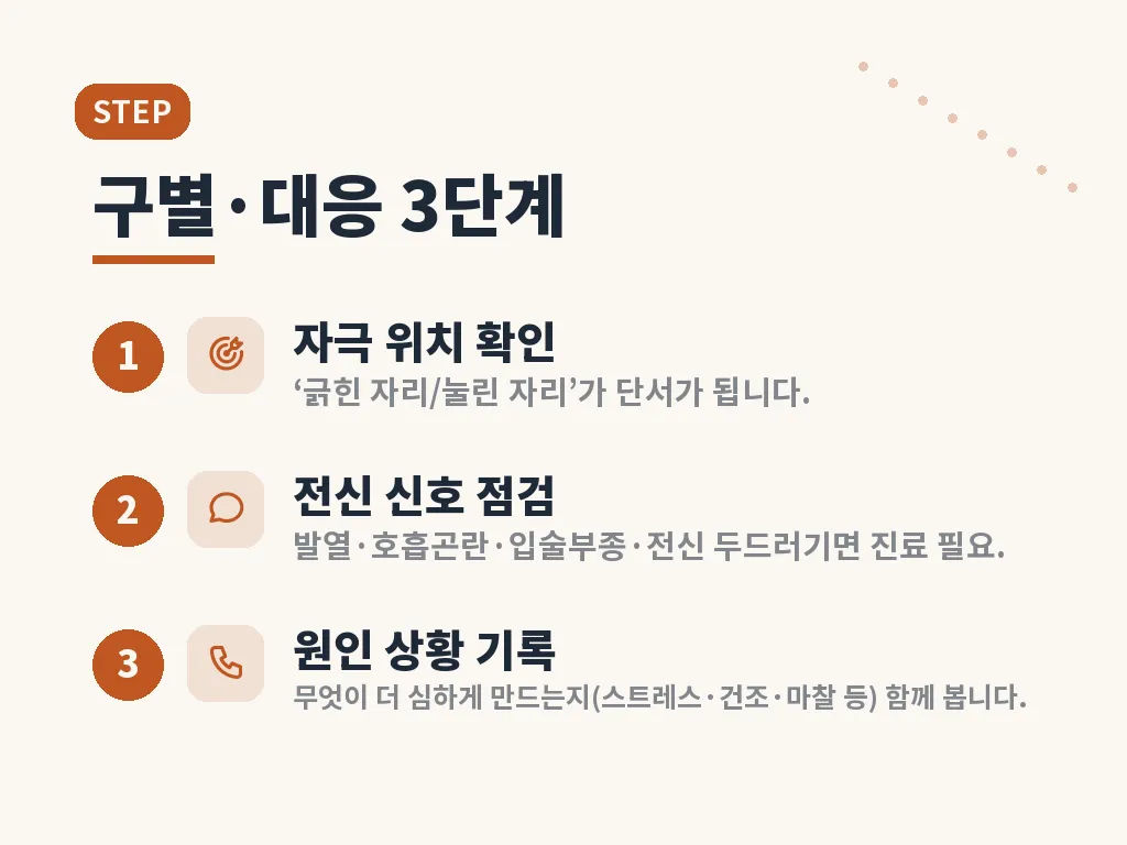 피부묘기증치료는 어떻게 진행되나요 이미지
