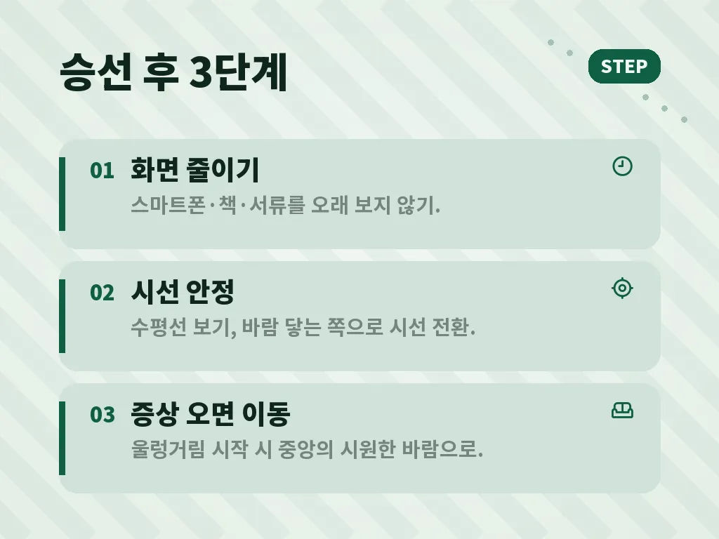 멀미약과 자연요법의 차이 이미지