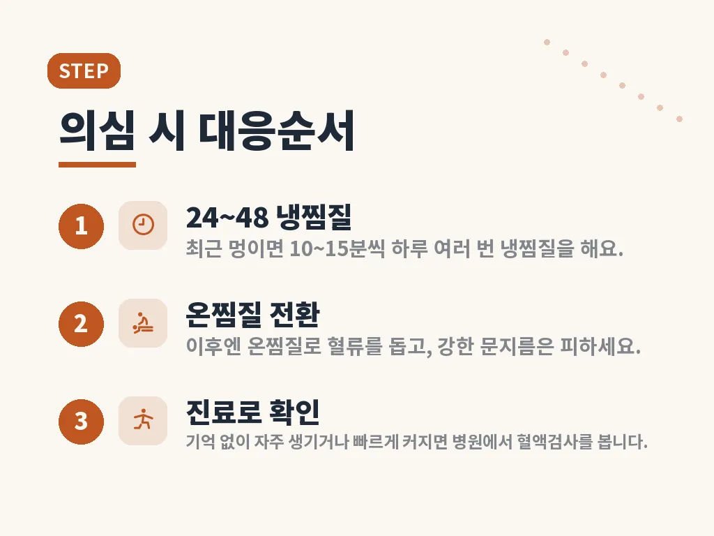 반상출혈 유형별 구분 이미지