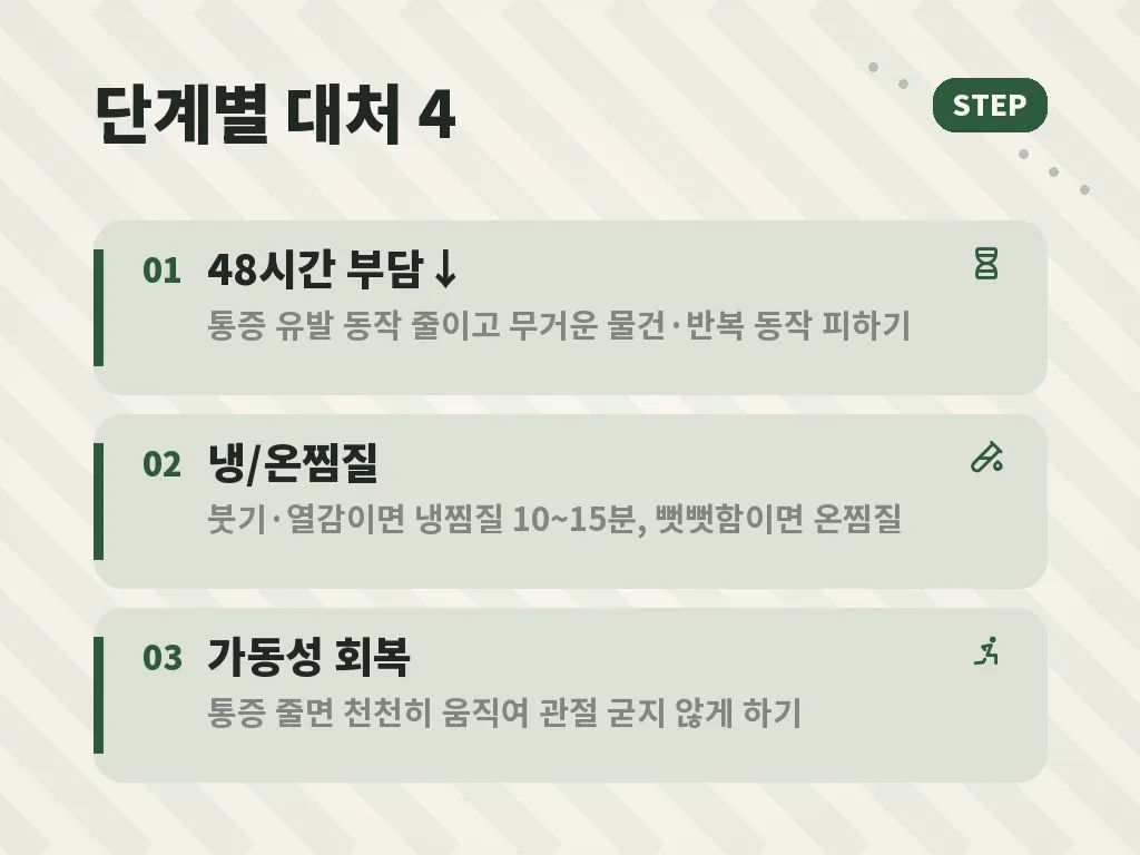 팔 근육 통증과 운동, 근육키우는법의 균형 이미지