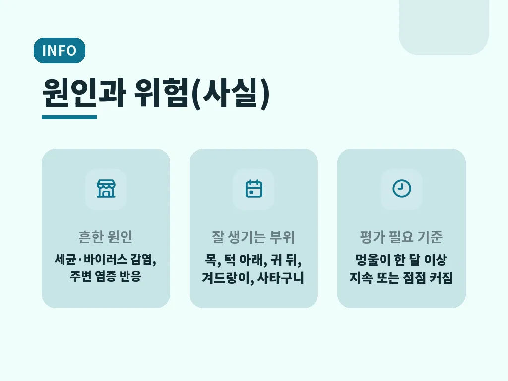 급성 림프절염 해결 방법 이미지
