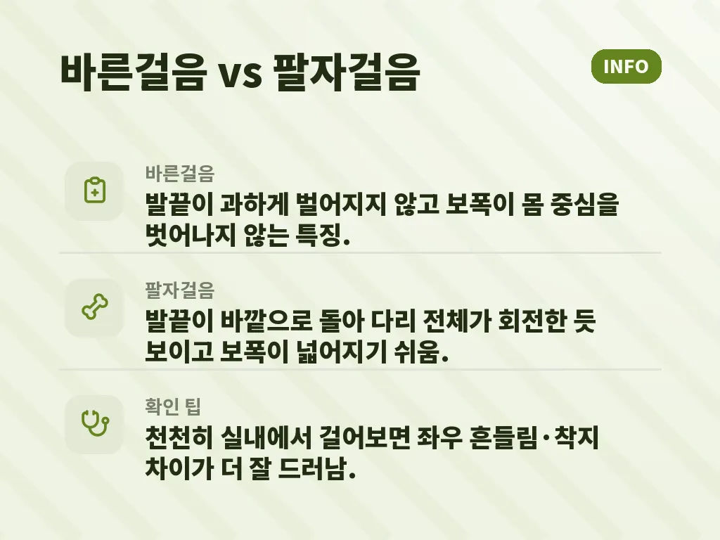 신발과 생활환경이 미치는 영향 이미지