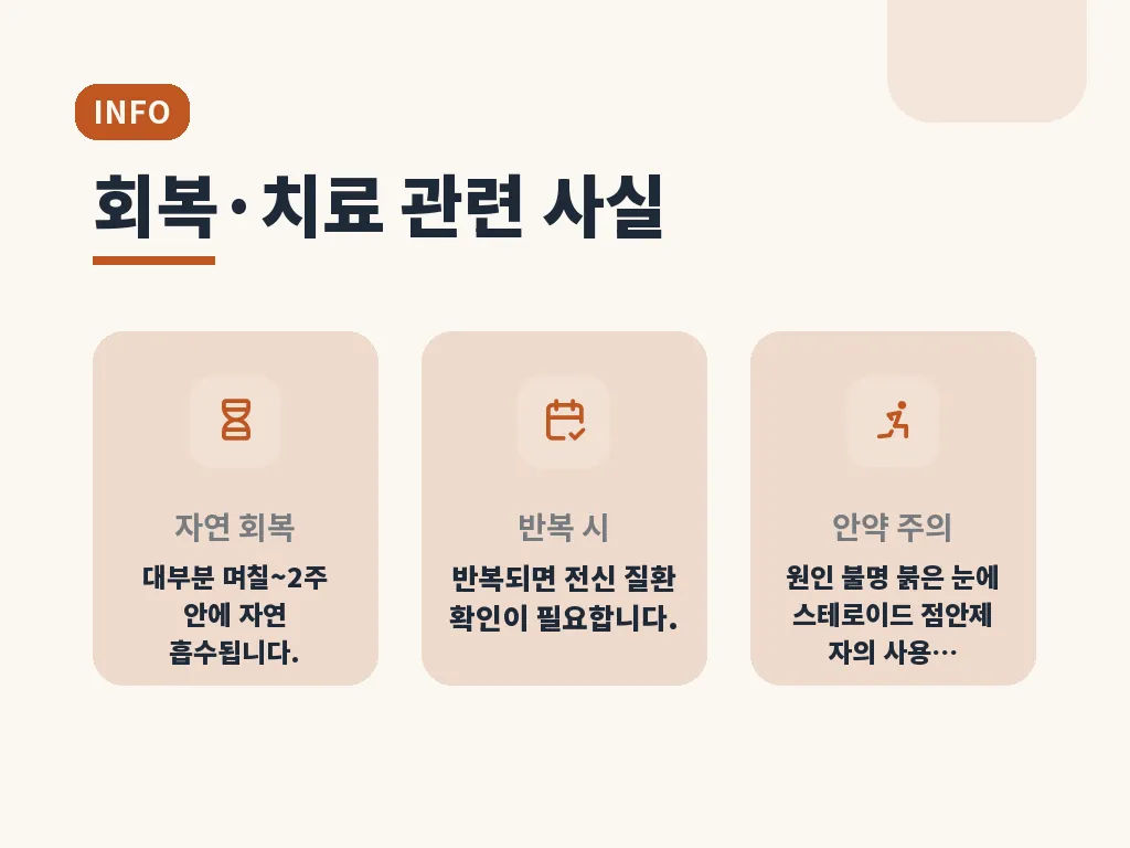 눈실핏줄터짐이 있을 때 병원에 가야 하는 신호 이미지