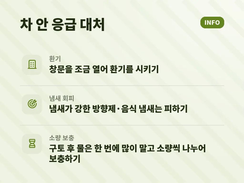 아이 차멀미 예방에 특히 중요한 포인트 이미지