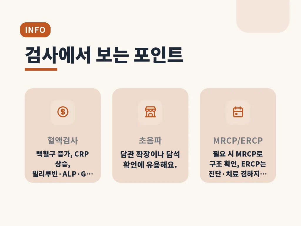 담도염이 남길 수 있는 합병증과 주의점 이미지