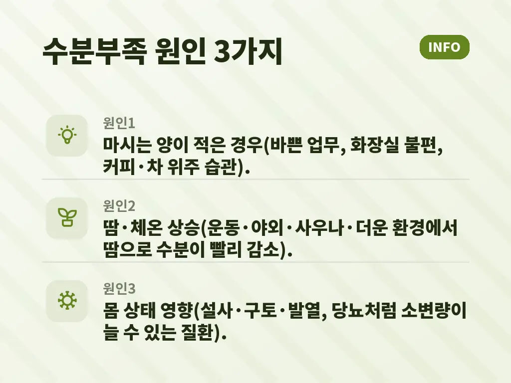 수분부족증상 예방에 도움이 되는 하루 습관 이미지