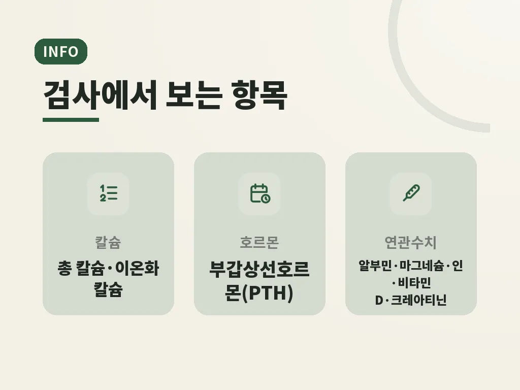 저칼슘혈증 보충제 선택 기준 이미지