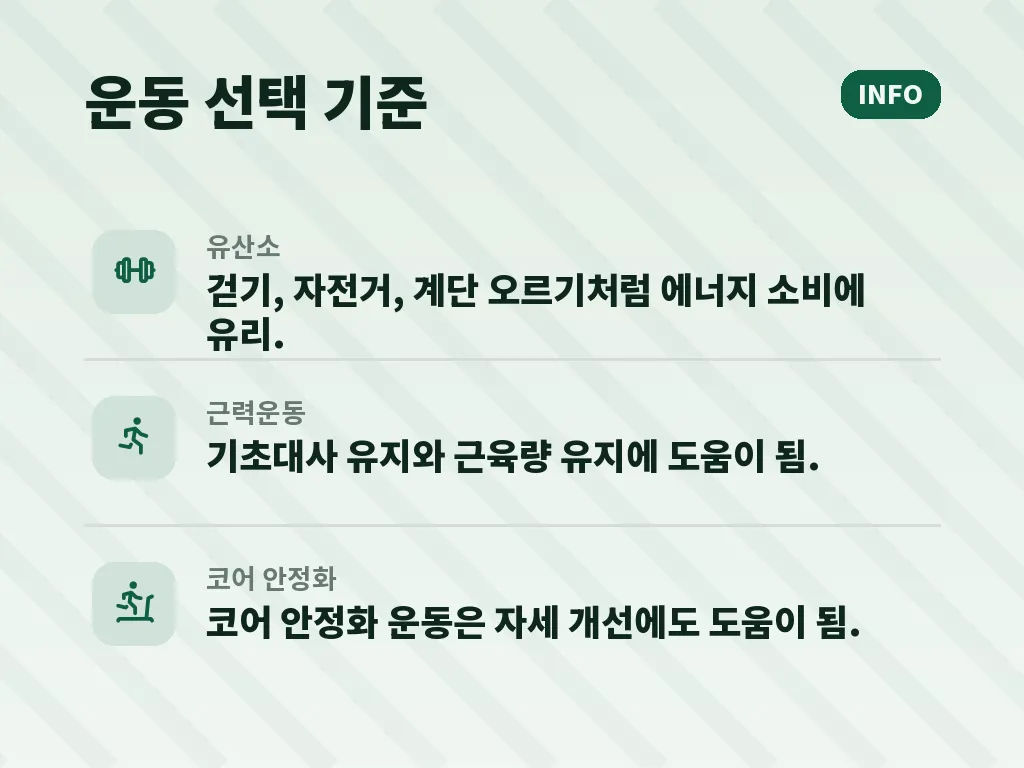 아랫뱃살 원인별 식단 관리 포인트 이미지
