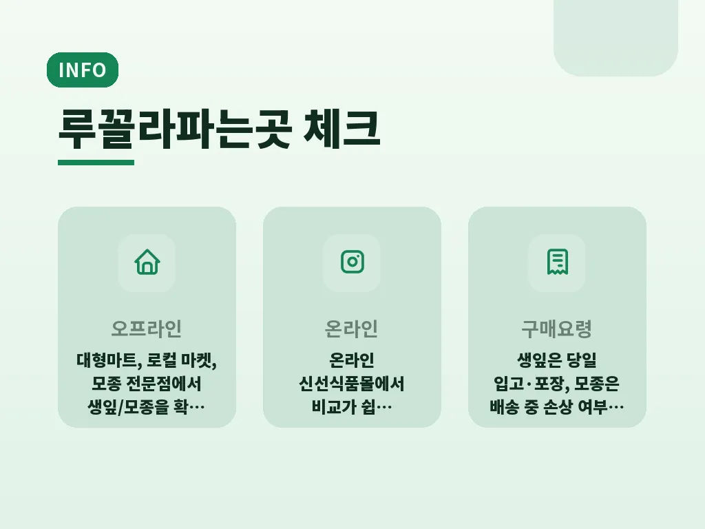 손질과 보관에서 놓치기 쉬운 점 이미지