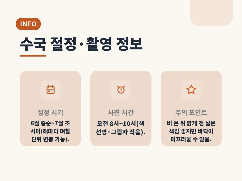 주변 먹거리와 함께 묶는 방법 이미지
