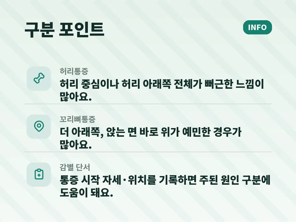 유형별로 보는 꼬리뼈통증 대처 방향 이미지