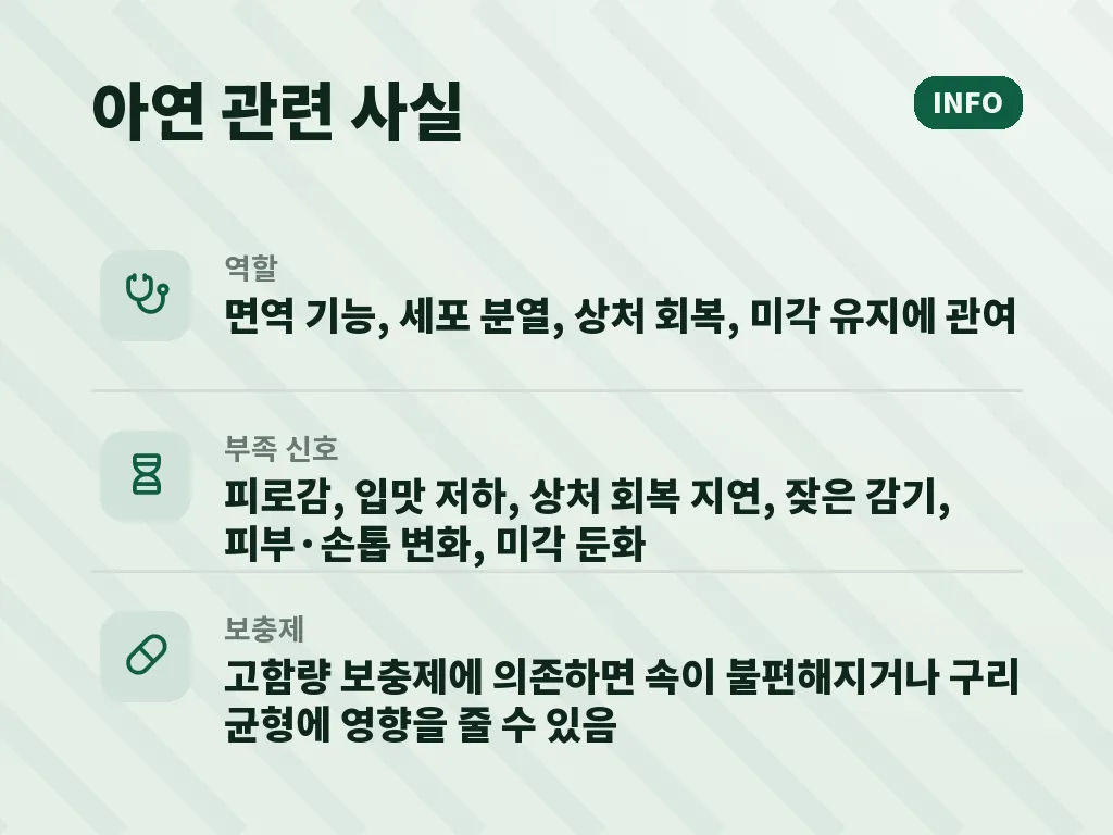아연 많은음식이 필요한 사람과 덜 필요한 사람 이미지