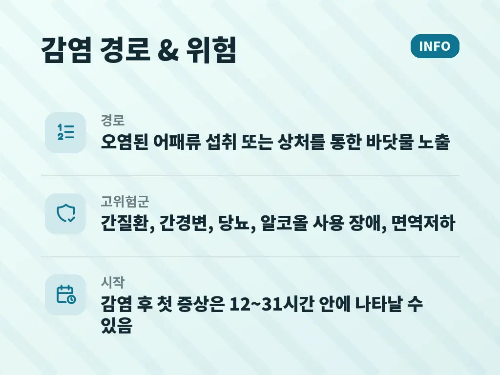 비브리오패혈증 증상에 대한 해결 방법 이미지