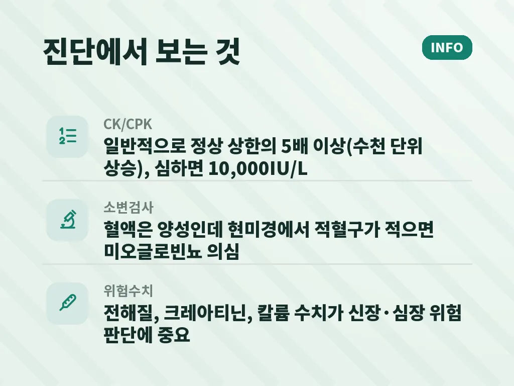 운동 관련 사례에서 특히 조심할 점 이미지