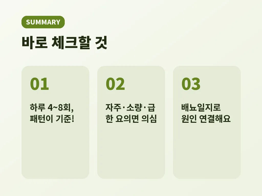 핵심요약 이미지