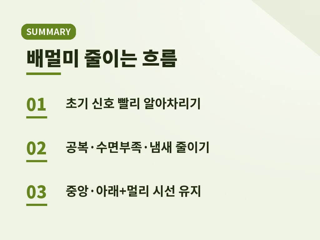 자주 하는 실수와 피하는 방법 이미지