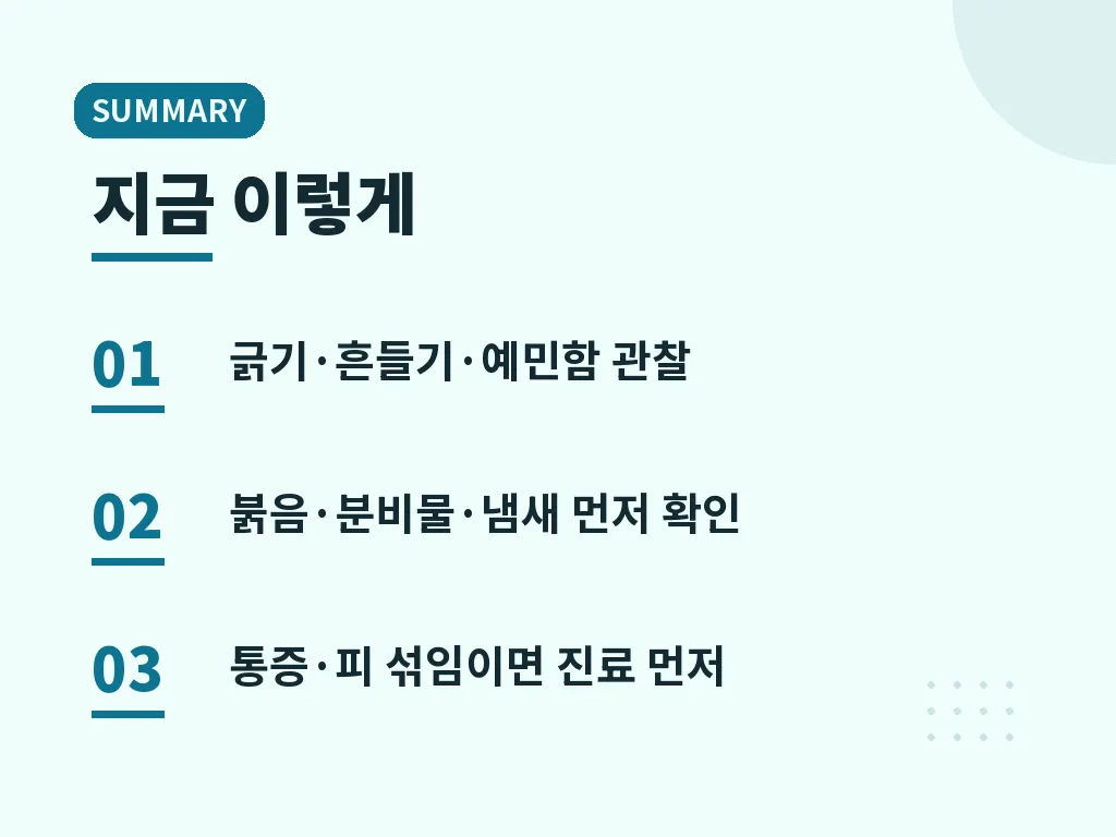 귀염증과 비슷한 증상 구별 이미지