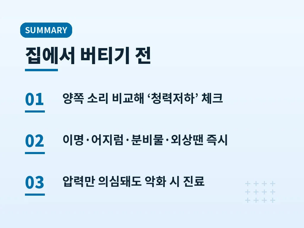 핵심요약 이미지