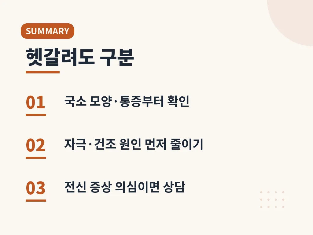 핵심요약 이미지