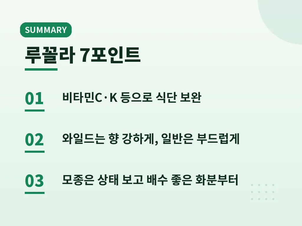 루꼴라를 활용한 식단 조합 이미지