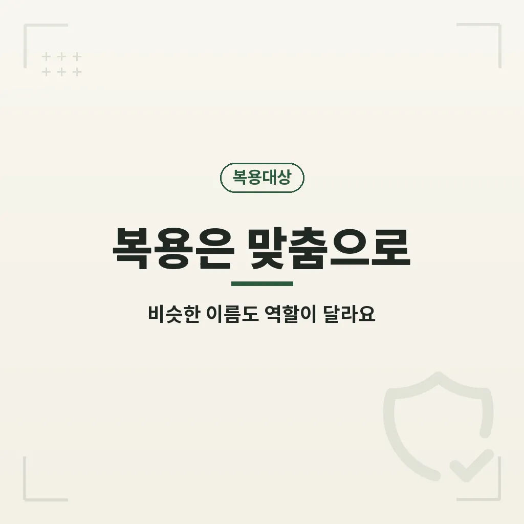 핵심요약 이미지