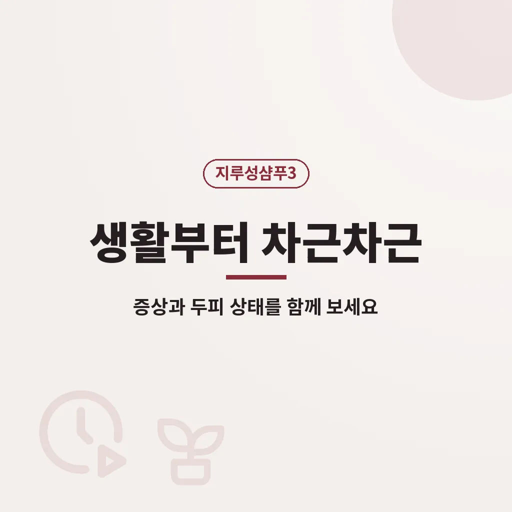 핵심요약 이미지