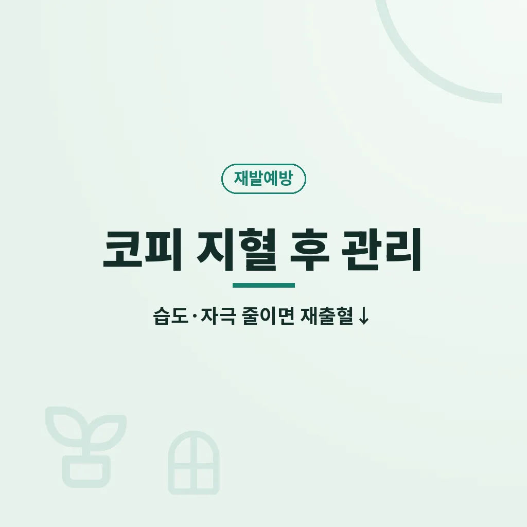핵심요약 이미지