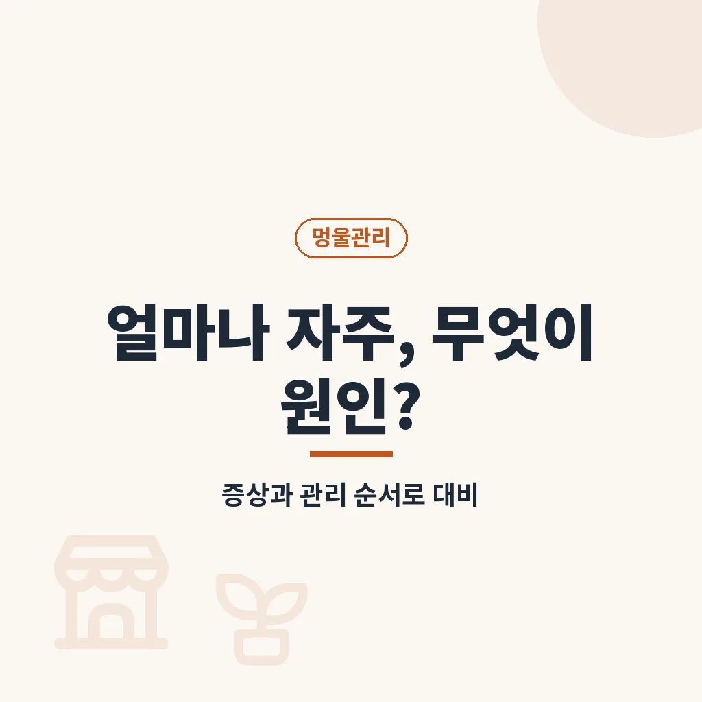 Q&A 이미지