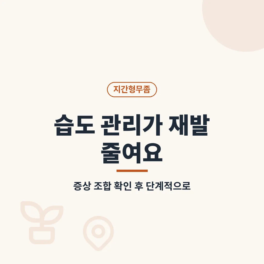 핵심요약 이미지