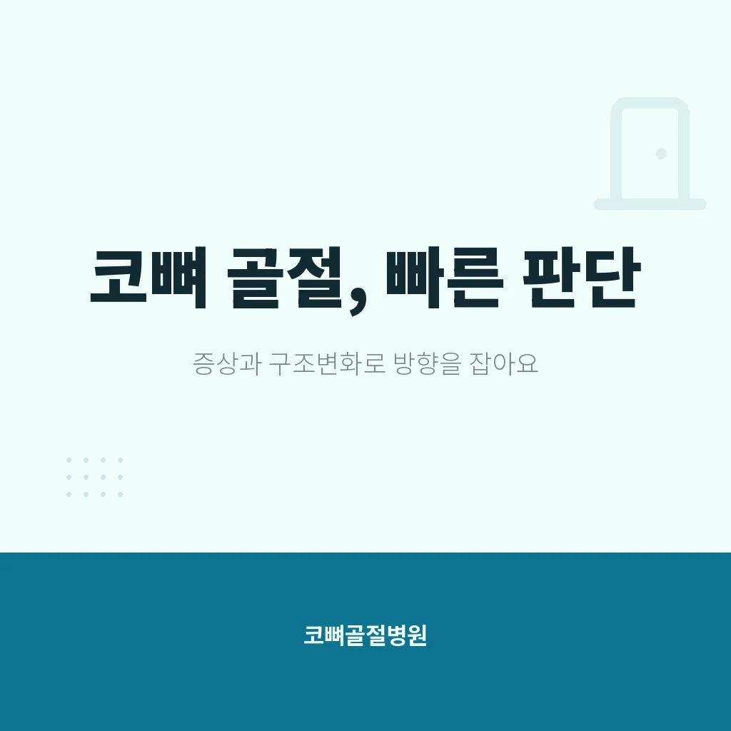 핵심요약 이미지