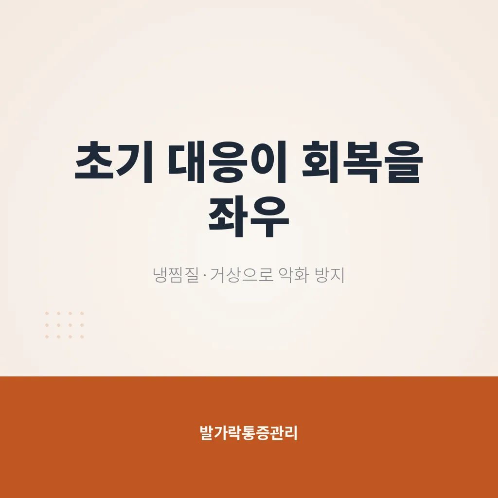핵심요약 이미지